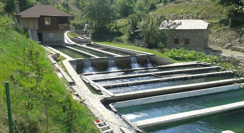 Etno Selo Vrelo & Camping Pensionat Berane Exteriör bild